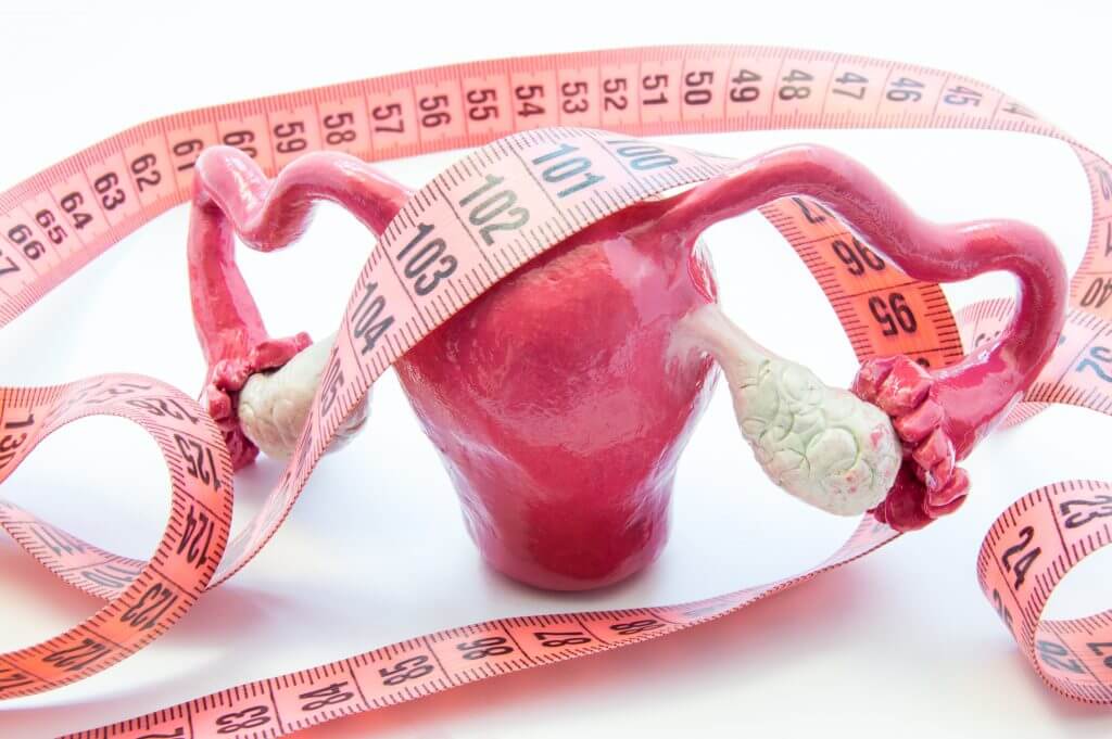 Intramural Fibroid Size Chart